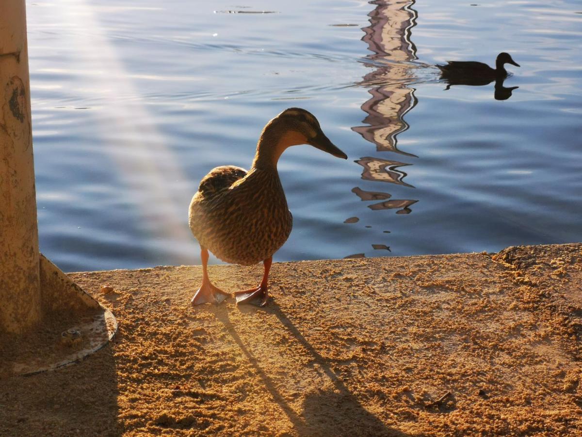 Ferienparadies Gutounik Pörtschach am Wörthersee Extérieur photo