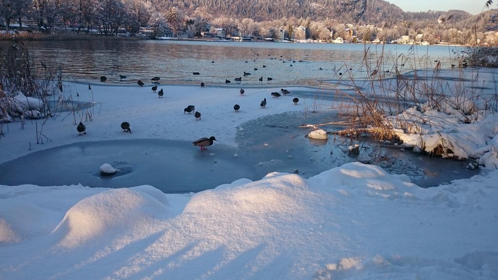 Ferienparadies Gutounik Pörtschach am Wörthersee Extérieur photo